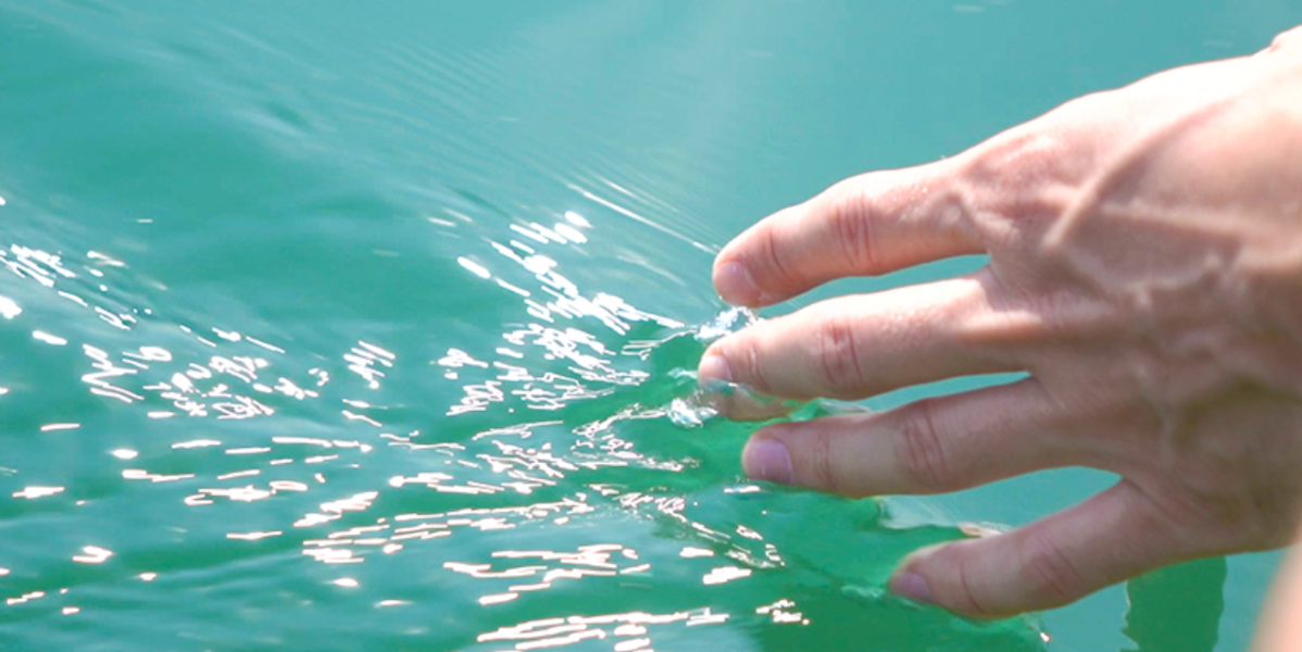 Pesca e sostenibilità aziendale