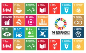 The SDG & the ESIndex® Method